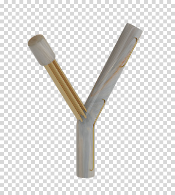 편집이미지 문자 알파벳 영어 대문자 타이포그라피 사람없음 3D소스 3D 디지털합성 파이프 Y PNG 편집소스 파일형식