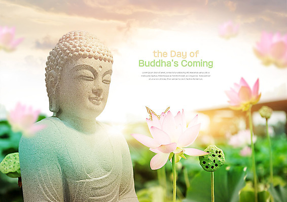 PSD 구름 편집이미지 불교 하늘 연꽃 사람없음 부처님오신날 불상 연잎 이미지편집 자연요소 기념일 꽃 종교 잎 파일형식