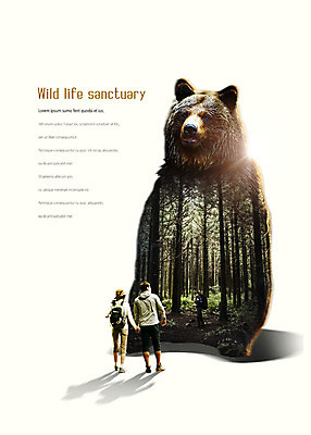 전신 PSD 서양인 나무 편집이미지 여자 남자 야생동물 여행 배낭 곰 그림자 사람 20대 성인 뒷모습 세명 30대 손잡기 한국인 숲 숲길 보호구역 성인만 이미지편집 외국인 식물 동물 길 뷰포인트 가방 포유류 모션 동양인 청년 장년 구역 파일형식