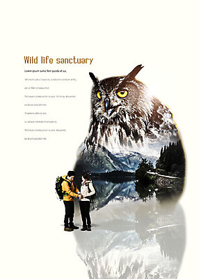 전신 PSD 나무 편집이미지 한마리 커플 여자 남자 호수 야생동물 40대 여행 배낭 산 사람 성인 두명 마주보기 한국인 부엉이 보호구역 성인만 이미지편집 식물 동물 1 중년 가방 관계 모션 조류 동양인 구역 파일형식