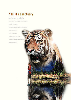 전신 PSD 나무 편집이미지 한마리 남자 호수 야생동물 여행 배낭 한명 사람 20대 성인 한국인 호랑이 숲 보호구역 야생동물보호 성인남자한명만 이미지편집 식물 동물 1 가방 포유류 동양인 청년 구역 남자한명만 성인남자만 파일형식