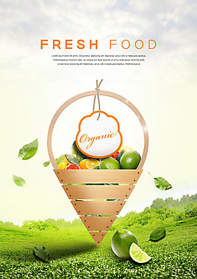 PSD 편집이미지 잎 오렌지 과일 초원 사람없음 라벨 바구니 여러개 신선 자몽 유기농 라임 과일바구니 이미지편집 식물 웰빙 다수 프레임 파일형식