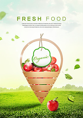 PSD 편집이미지 과일 나뭇잎 초원 사람없음 라벨 바구니 여러개 신선 사과 유기농 과일바구니 이미지편집 웰빙 다수 잎 프레임 파일형식