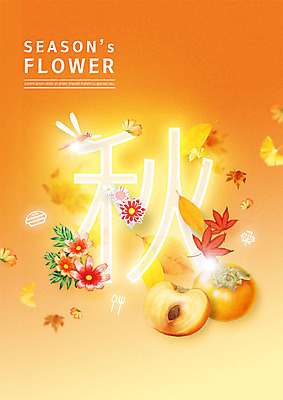 PSD 편집이미지 꽃 단풍 낙엽 감 사람없음 한자 가을 잠자리 은행잎 가을추 이미지편집 식물 문자 계절 곤충 잎 과일 파일형식