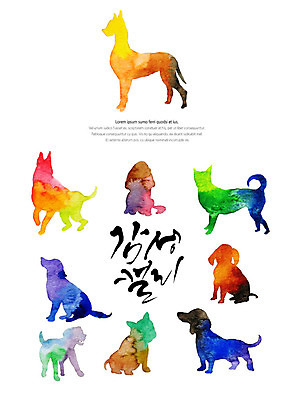 PSD 동물 여러마리 일러스트 캘리그라피 붓터치 글자캘리그라피 사람없음 반려동물 컬러풀 고양이 강아지 번짐 감성 국내일러스트 컬러 다수 컨셉 포유류 개 파일형식 효과