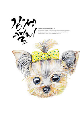 PSD 동물 한마리 일러스트 캘리그라피 글자캘리그라피 사람없음 강아지 요크셔테리어 감성 리본핀 반려 국내일러스트 1 컨셉 반려동물 개 머리핀 테리어 파일형식
