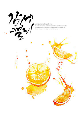 PSD 조각 오렌지 과일 일러스트 캘리그라피 붓터치 글자캘리그라피 사람없음 번짐 감성 국내일러스트 컨셉 파일형식 효과