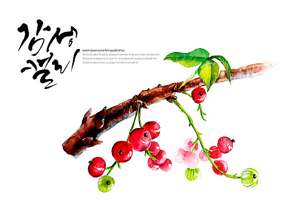 PSD 나무 열매 잎 일러스트 캘리그라피 글자캘리그라피 사람없음 나뭇가지 감성 국내일러스트 식물 컨셉 파일형식