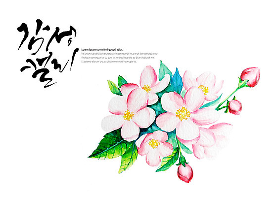 PSD 꽃 여러송이 잎 일러스트 캘리그라피 글자캘리그라피 사람없음 꽃봉오리 감성 국내일러스트 식물 다수 컨셉 파일형식