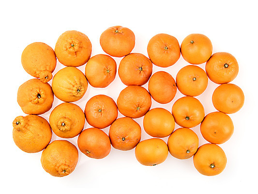 포토 JPG 스튜디오촬영 과일 실내 누끼 사람없음 여러개 신선 흰배경 유기농 한라봉 천혜향 레드향 국내포토 웰빙 다수 백그라운드 내부 흰색 파일형식