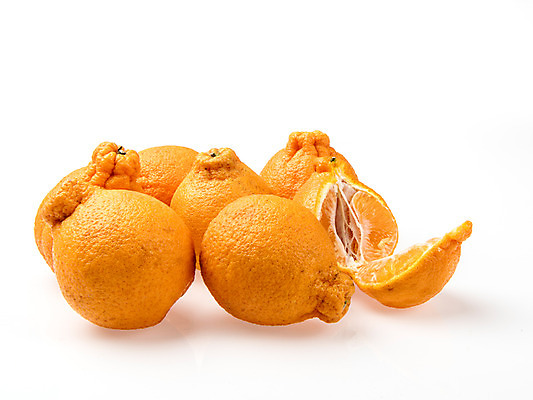 포토 JPG 스튜디오촬영 조각 과일 단면 실내 누끼 사람없음 여러개 신선 흰배경 유기농 한라봉 국내포토 웰빙 다수 백그라운드 내부 흰색 파일형식