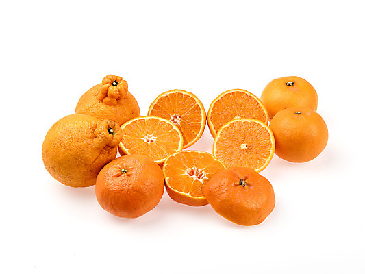 포토 JPG 스튜디오촬영 과일 단면 실내 누끼 사람없음 여러개 신선 흰배경 유기농 슬라이스 한라봉 천혜향 레드향 국내포토 웰빙 다수 백그라운드 내부 흰색 파일형식