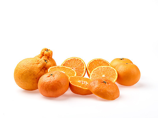 포토 JPG 스튜디오촬영 과일 단면 실내 누끼 사람없음 여러개 신선 흰배경 유기농 슬라이스 한라봉 천혜향 레드향 국내포토 웰빙 다수 백그라운드 내부 흰색 파일형식