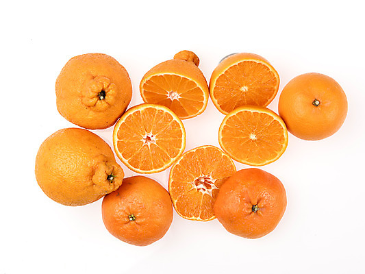 포토 JPG 스튜디오촬영 과일 단면 실내 누끼 사람없음 여러개 신선 흰배경 유기농 슬라이스 한라봉 천혜향 레드향 국내포토 웰빙 다수 백그라운드 내부 흰색 파일형식