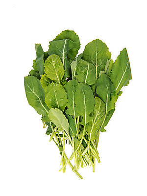 포토 JPG 스튜디오촬영 채소 실내 누끼 사람없음 신선 흰배경 유기농 유채나물 국내포토 웰빙 백그라운드 내부 흰색 파일형식