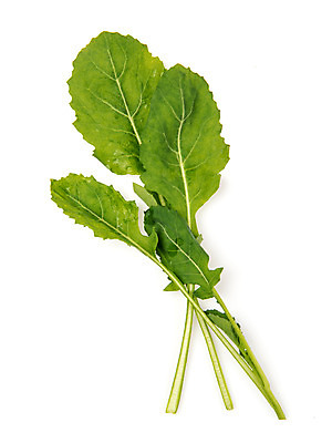 포토 JPG 스튜디오촬영 채소 실내 누끼 사람없음 신선 흰배경 유기농 유채나물 국내포토 웰빙 백그라운드 내부 흰색 파일형식