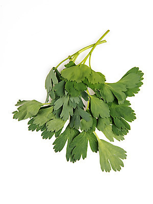 포토 JPG 스튜디오촬영 채소 실내 누끼 사람없음 신선 흰배경 유기농 방풍 국내포토 웰빙 백그라운드 내부 흰색 파일형식