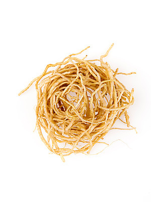 포토 JPG 스튜디오촬영 채소 실내 누끼 사람없음 신선 흰배경 유기농 봄나물 씀바귀 제철음식 국내포토 웰빙 음식 백그라운드 뿌리채소 내부 흰색 나물 제철 파일형식