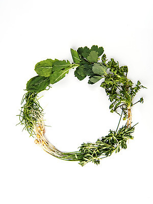 포토 JPG 스튜디오촬영 채소 실내 누끼 사람없음 다양 신선 흰배경 유기농 냉이 달래 돌나물 방풍 봄나물 제철 유채나물 세발나물 제철음식 국내포토 웰빙 음식 다수 백그라운드 내부 흰색 나물 파일형식