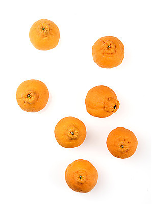 포토 JPG 스튜디오촬영 과일 실내 누끼 사람없음 여러개 신선 흰배경 유기농 한라봉 국내포토 웰빙 다수 백그라운드 내부 흰색 파일형식