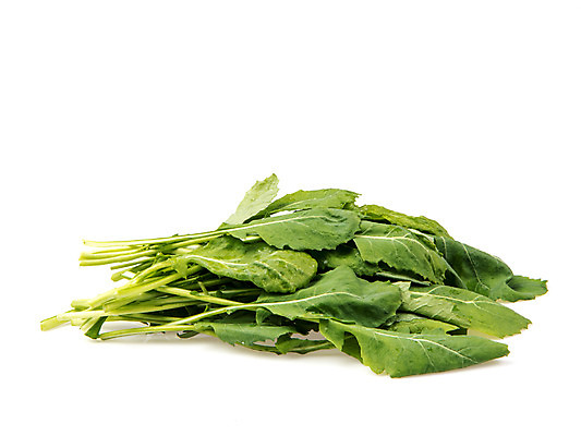 포토 JPG 스튜디오촬영 채소 실내 누끼 사람없음 신선 흰배경 유기농 유채나물 국내포토 웰빙 백그라운드 내부 흰색 파일형식