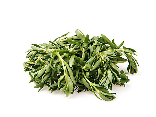 포토 JPG 스튜디오촬영 채소 실내 누끼 사람없음 신선 흰배경 유기농 돌나물 국내포토 웰빙 백그라운드 내부 흰색 파일형식