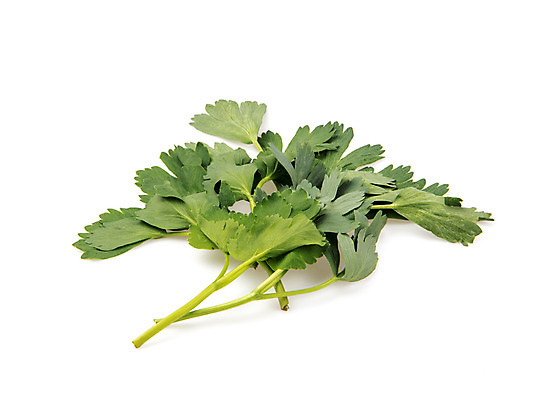 포토 JPG 스튜디오촬영 채소 실내 누끼 사람없음 신선 흰배경 유기농 방풍 국내포토 웰빙 백그라운드 내부 흰색 파일형식