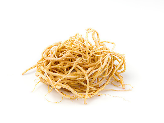 포토 JPG 스튜디오촬영 채소 실내 누끼 사람없음 신선 흰배경 유기농 봄나물 씀바귀 제철음식 국내포토 웰빙 음식 백그라운드 뿌리채소 내부 흰색 나물 제철 파일형식