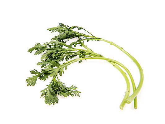 포토 JPG 스튜디오촬영 채소 실내 누끼 사람없음 신선 흰배경 유기농 쑥갓 국내포토 웰빙 백그라운드 내부 흰색 파일형식