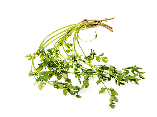 포토 JPG 스튜디오촬영 채소 실내 누끼 사람없음 신선 흰배경 유기농 미나리 국내포토 웰빙 백그라운드 내부 흰색 파일형식