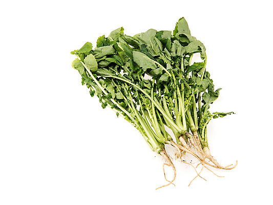 포토 JPG 스튜디오촬영 채소 실내 누끼 사람없음 신선 흰배경 유기농 열무 국내포토 웰빙 백그라운드 내부 흰색 무 파일형식