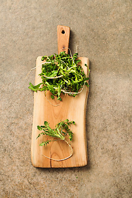 포토 JPG 스튜디오촬영 채소 도마 실내 사람없음 하이앵글 신선 유기농 냉이 봄나물 플랫레이 제철음식 국내포토 웰빙 음식 뷰포인트 주방용품 내부 플랫 나물 제철 파일형식