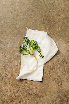 포토 JPG 스튜디오촬영 채소 실내 사람없음 하이앵글 신선 천 유기농 냉이 봄나물 플랫레이 제철음식 국내포토 웰빙 음식 뷰포인트 내부 직물 플랫 나물 제철 파일형식