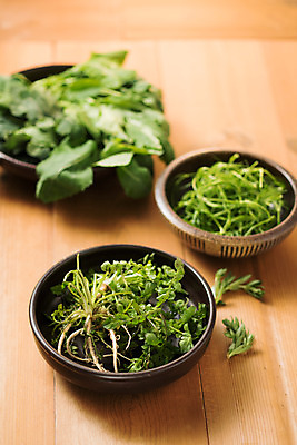 포토 JPG 스튜디오촬영 그릇 채소 실내 사람없음 아웃포커스 다양 신선 유기농 냉이 달래 돌나물 방풍 봄나물 제철 유채나물 세발나물 제철음식 나무배경 국내포토 식기 웰빙 음식 다수 백그라운드 촬영기법 내부 나물 파일형식