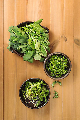 포토 JPG 스튜디오촬영 그릇 채소 실내 사람없음 하이앵글 다양 신선 유기농 냉이 돌나물 방풍 봄나물 플랫레이 유채나물 세발나물 제철음식 나무배경 국내포토 식기 웰빙 음식 뷰포인트 다수 백그라운드 내부 플랫 나물 제철 파일형식
