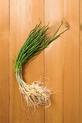 포토 JPG 스튜디오촬영 채소 실내 사람없음 하이앵글 신선 유기농 달래 달래나물 봄나물 제철 플랫레이 제철음식 나무배경 국내포토 웰빙 음식 뷰포인트 백그라운드 내부 플랫 나물 파일형식