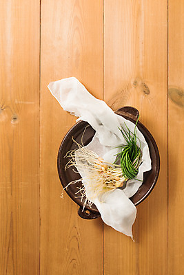 포토 JPG 스튜디오촬영 그릇 채소 실내 사람없음 하이앵글 신선 천 유기농 달래 달래나물 봄나물 제철 플랫레이 제철음식 국내포토 식기 웰빙 음식 뷰포인트 내부 직물 플랫 나물 파일형식