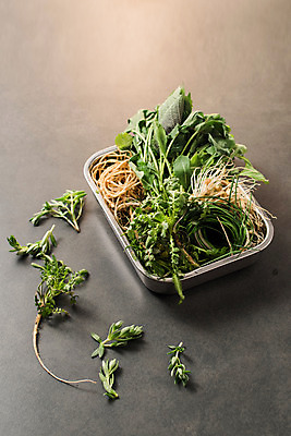 포토 JPG 스튜디오촬영 채소 실내 사람없음 다양 신선 유기농 깻잎 냉이 달래 달래나물 돌나물 봄나물 씀바귀 제철 유채나물 제철음식 국내포토 웰빙 음식 다수 뿌리채소 내부 나물 파일형식