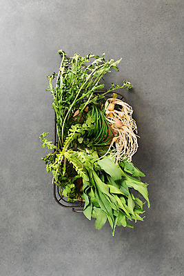 포토 JPG 스튜디오촬영 채소 실내 사람없음 하이앵글 다양 유기농 냉이 달래 달래나물 봄나물 제철 플랫레이 민들레나물 원추리나물 제철음식 국내포토 웰빙 음식 뷰포인트 다수 내부 플랫 나물 파일형식