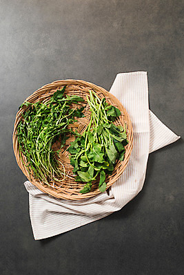 포토 JPG 스튜디오촬영 채소 실내 사람없음 하이앵글 소쿠리 신선 천 유기농 유채나물 민들레나물 국내포토 웰빙 뷰포인트 내부 바구니 직물 파일형식