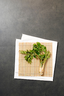 포토 JPG 스튜디오촬영 채소 실내 사람없음 하이앵글 신선 천 유기농 두릅 플랫레이 땅두릅 산나물 국내포토 웰빙 뷰포인트 내부 직물 플랫 나물 파일형식