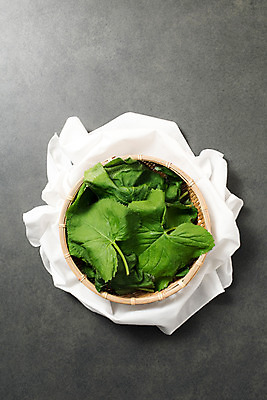 포토 JPG 스튜디오촬영 채소 실내 사람없음 하이앵글 소쿠리 신선 천 유기농 곰취 플랫레이 산나물 국내포토 웰빙 뷰포인트 내부 바구니 직물 플랫 나물 파일형식