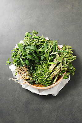 포토 JPG 스튜디오촬영 채소 실내 사람없음 소쿠리 다양 신선 천 유기농 쑥갓 미나리 달래 달래나물 봄나물 제철 땅두릅 원추리나물 제철음식 국내포토 웰빙 음식 다수 내부 바구니 직물 나물 파일형식