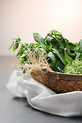 포토 JPG 스튜디오촬영 채소 실내 사람없음 소쿠리 천 유기농 미나리 달래 달래나물 봄나물 제철 세발나물 제철음식 국내포토 웰빙 음식 내부 바구니 직물 나물 파일형식