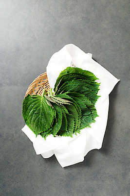 포토 JPG 스튜디오촬영 채소 실내 사람없음 하이앵글 소쿠리 신선 천 유기농 깻잎 플랫레이 국내포토 웰빙 뷰포인트 내부 바구니 직물 플랫 파일형식