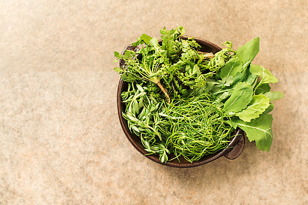 포토 JPG 스튜디오촬영 그릇 채소 실내 사람없음 하이앵글 다양 신선 유기농 냉이 돌나물 봄나물 플랫레이 유채나물 세발나물 제철음식 국내포토 식기 웰빙 음식 뷰포인트 다수 내부 플랫 나물 제철 파일형식