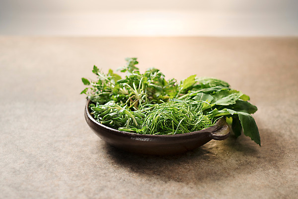 포토 JPG 스튜디오촬영 그릇 채소 실내 사람없음 신선 유기농 냉이 돌나물 봄나물 유채나물 세발나물 제철음식 국내포토 식기 웰빙 음식 내부 나물 제철 파일형식