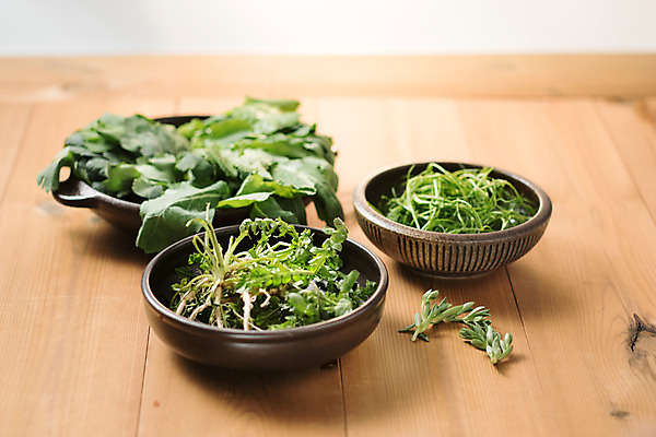 포토 JPG 스튜디오촬영 그릇 채소 실내 사람없음 신선 유기농 나무바닥 냉이 돌나물 봄나물 유채나물 세발나물 제철음식 국내포토 식기 웰빙 음식 바닥 내부 나물 제철 파일형식