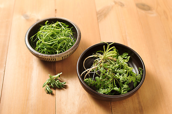 포토 JPG 스튜디오촬영 그릇 채소 실내 사람없음 신선 유기농 냉이 돌나물 봄나물 세발나물 제철음식 나무배경 국내포토 식기 웰빙 음식 백그라운드 내부 나물 제철 파일형식