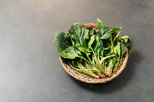 포토 JPG 스튜디오촬영 채소 실내 사람없음 소쿠리 신선 유기농 부지갱이 국내포토 웰빙 내부 바구니 파일형식